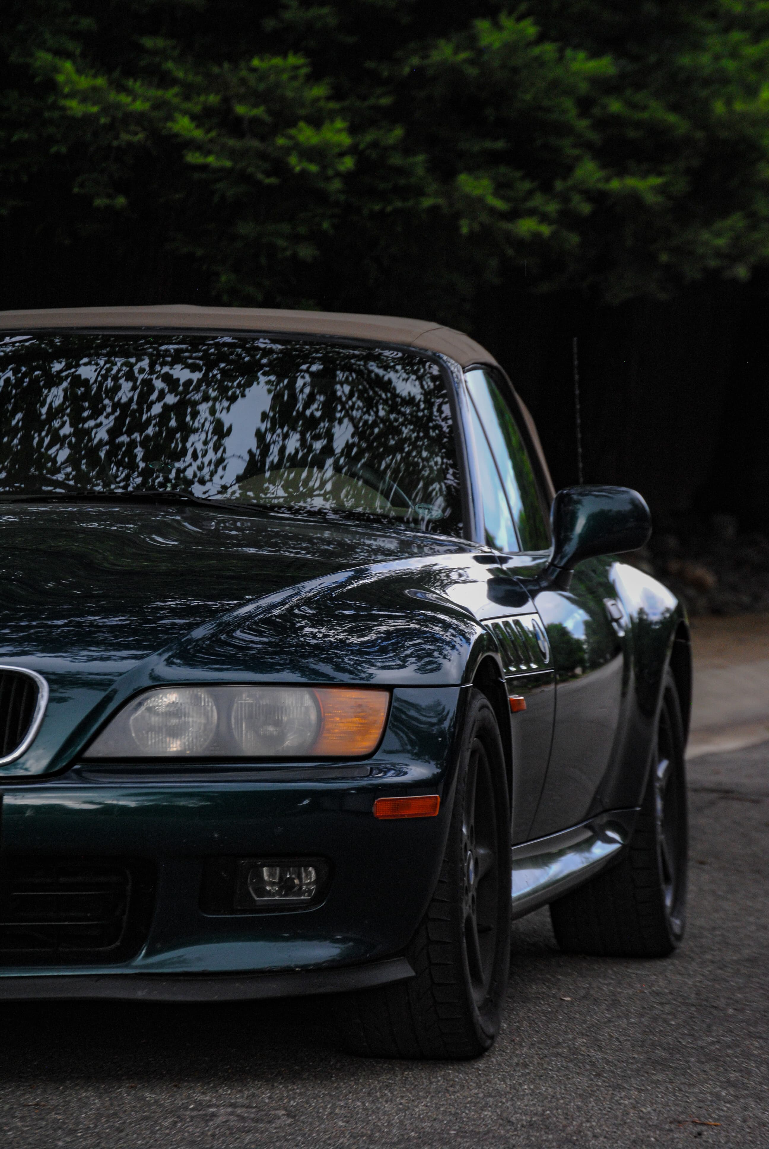 Boston Green Metallic Z3